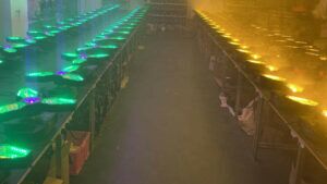 LED Retro Light 7