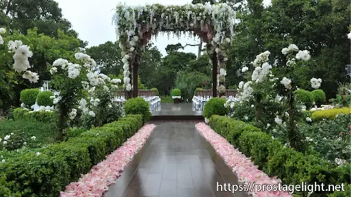 PBC Events_event planner (8) PBC Events_event planner (8)