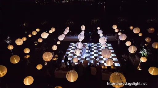 Lindsey and Stephens' Palm Beach Wedding