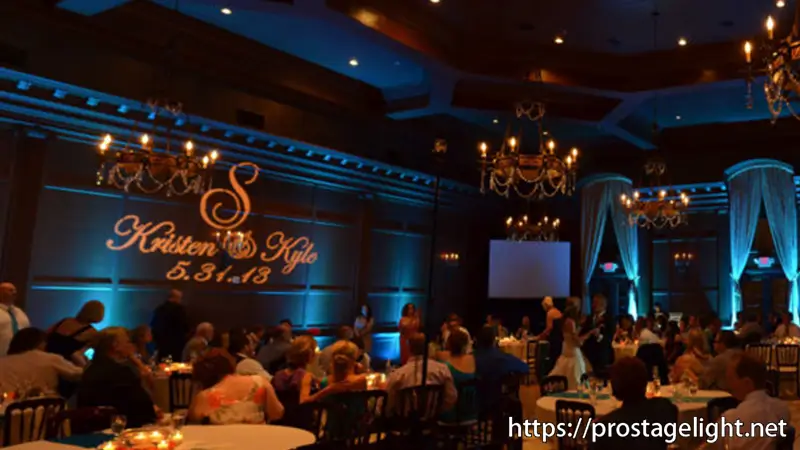 Led Par Light Manufacturers in USA