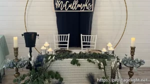 wedding palanner Bella Nuptials (4)