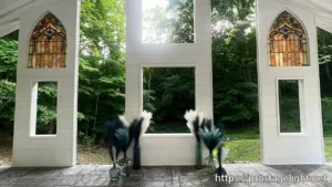 wedding palanner Bella Nuptials (5)