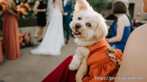 wedding palanner Chic Celebrations by Lisa (12)