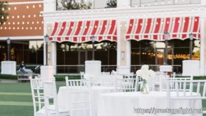 wedding palanner Dream Weddings with Kate (6)